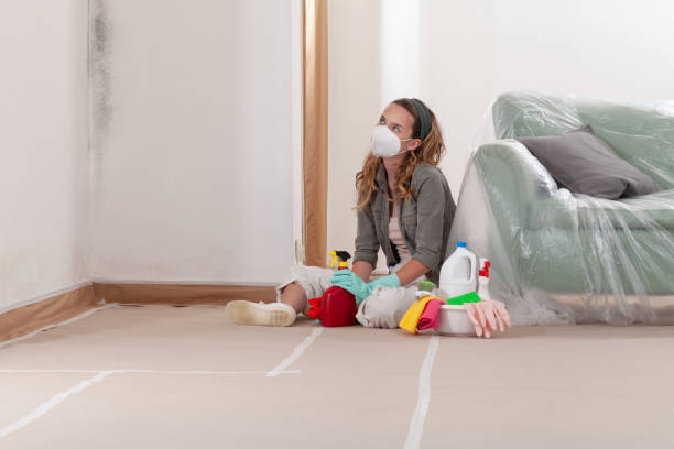 Reliable Commercial Mold Remediation contractor in Lindenhurst, IL by 24 Hour Mold Removal